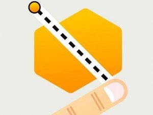 Form Divider Logic Challenge