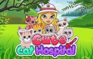 Feline Wellness Center