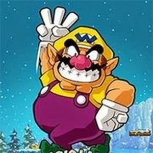Wario Land 3 Puzzle Adventure