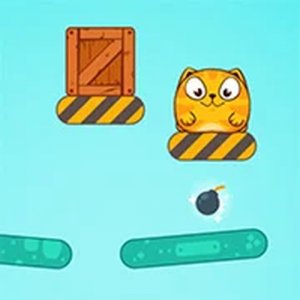 Puffy Cat Puzzle Game