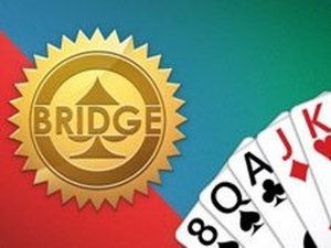 Bridge Card Challenge Online