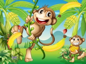 Monkey Jungle Dash Adventure