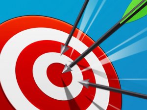 Precision Archery Target Challenge