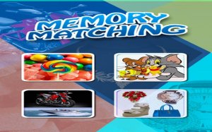 Cards Memory Matching Puzzle Game