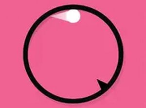 Circle Flip Online Game