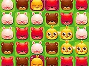 Pet Pop Online Game