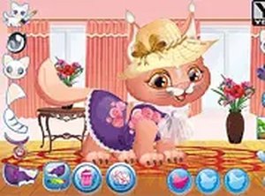Purrfect Feline Dress-Up