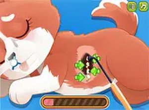 Princess' Pup Rescue Online Game